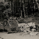 Illustration for article titled These Previously Unseen Photos Bear Witness to the Carnage of World War II